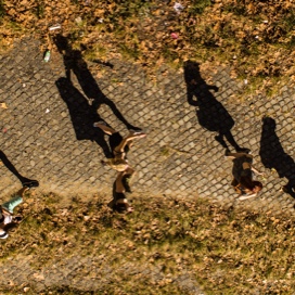 Students walking on a campus path